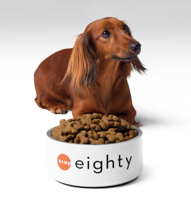 ASMP 80th Anniversary Pet Bowl